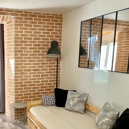 Lion's - 2 Minute Walk From Palais Des Festivals&beaches Apartment Cannes