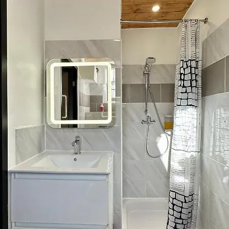 Lion's - 2 Minute Walk From Palais Des Festivals&beaches Apartment